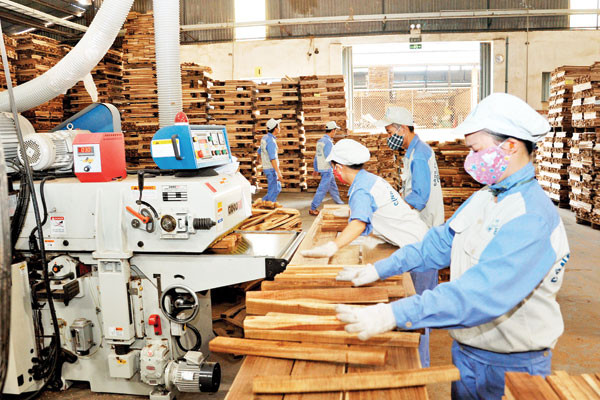 [Infographic] Wood processing industry to be major economic sector by 2030